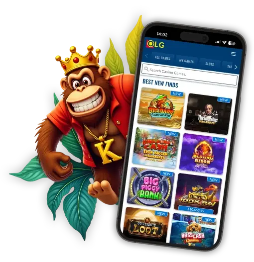 Previzualizare aplicație